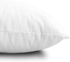 EDOW Throw Pillow Inserts, Set of 2 Lightweight Down Alternative Polyester Pillow, Couch Cushion, Sham Stuffer, Machine Washable. (White, 20x20)