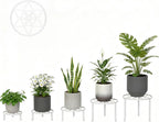 5-Pack Metal Plant Stand for Heavy Potted Plant for Home Indoor and Outdoor Heavy Duty Flower Pot Stands for Multiple Plant for Living Room
