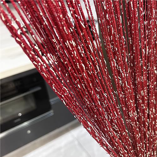ave split Decorative Door String Curtain Wall Panel Fringe Window Room Divider Blind Divider Tassel Screen Home 100cm*200cm (Red wine18) - color: Red Wine18