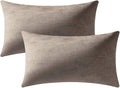 Lumbar Pillow Covers 12x20 Taupe: Pack of 2 Cozy Soft Velvet Rectangular Modern Luxury Decorative Throw Pillow Cases for Sofa Couch Living Room Bed Home Decor