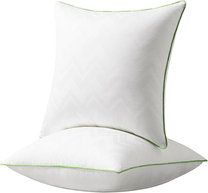 Ashler 24x24 Pillows Insert (Set of 2) - Throw Pillow Inserts with 100% Cotton Cover - 24 Inch Square Interior Sofa Stuffer Pillow Inserts -Decorative White Couch Pillow