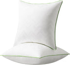 Ashler 24x24 Pillows Insert (Set of 2) - Throw Pillow Inserts with 100% Cotton Cover - 24 Inch Square Interior Sofa Stuffer Pillow Inserts -Decorative White Couch Pillow
