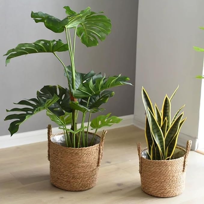 Seagrass Handmade Wicker Planter Basket with Handle for Indoor Plants Pot, Multipurpose Handmade 14 inch Woven Storage Basket Flower Pot for Home Decor, Living Room Storage Basket (13.78''X11.81'')