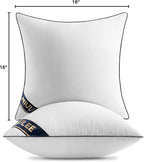 MIULEE 16x16 Pillow Inserts Set of 2 Throw Pillows 16 Inch Premium Down Alternative Pillow Inserts Decorative Pillow Stuffer for Sofa, Couch (16x16 inch, Set of 2)