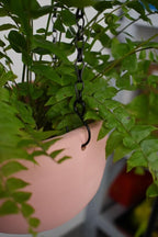 Hanging Basket Chain,22 Inch Black Hanging Chain,Chain for Hanging Plants with Hooks for Bird Feeder Hanging Planter Porch Wind Chime (Black, 22 Inch-5PCS)