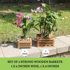 Set of 2 Wooden Orchid Baskets with Hangers, Hanging Vanda Baskets for Outside - size: Set of 2