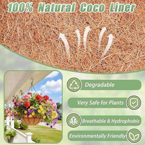 2 Pack 12 Inch Hanging Baskets for Plants Outdoor Metal Hanging Planters Round Hanging Flower Pots with Coco Coir Liner Plant Holder for Outdoor Patio Garden Balcony Decor - Circular - color: Circular