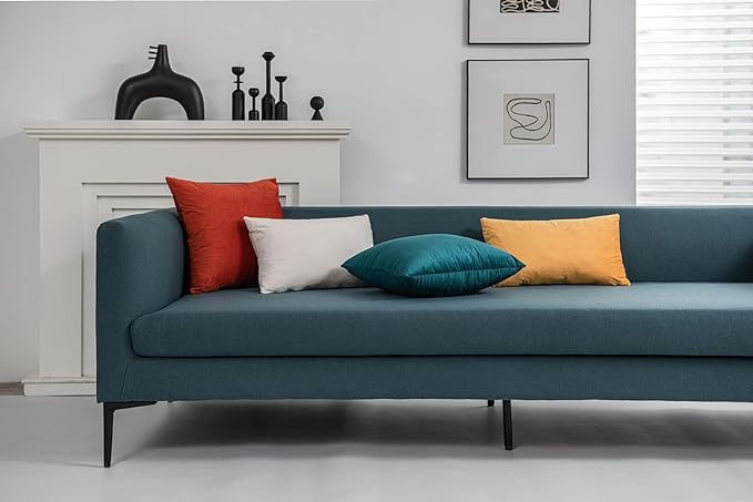 Throw Pillow Covers 22x22 Burnt Orange: Pack of 2 Cozy Soft Velvet Square Modern Luxury Decorative Throw Pillow Cases for Sofa Couch Living Room Bed Home Decor