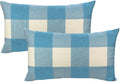 VAKADO 12x20 Inch Buffalo Plaids Decorative Throw Pillow Cases Farmhouse Retro Checkers Lumbar Rectangle Cushion Covers Home Decor for Sofa Couch Set of 2, Sky Blue White