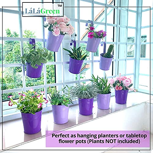 LaLaGreen Hanging Planter Outdoor - 10 Pack, 4 Inch Fence Planters Outdoor Purple Hanging Window Flower Bucket Metal Succulent Pots Balcony Railing Wall Garden Deck Porch Herb Plant Macetas Exterior - size: 4 Inch (Purple)