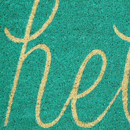 DII Hello Coir Fiber Doormat Non-Slip Durable Outdoor/Indoor, Pet Friendly, 18x30, Aqua - color: Aqua
