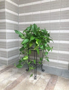 11.8 inches Diameter Tall Metal Plant Stand for Indoor or Outdoor,Heavy Duty Flower Pot Stand Rack Holds Big Heavy Plants,Black (18.9 INCHES TALL)