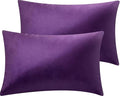 2 Pack 12x20 Pillow Cover Velvet Pillow Covers, Square Throw Pillow Covers for Living Room Decorations Throw Pillow Case, Throw Pillow Cover Cushion Cover for Sofa Bedroom Car, Eggplant Purple