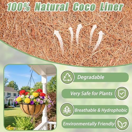 2 Pack 12 Inch Hanging Baskets for Plants Outdoor Metal Hanging Planters Round Hanging Flower Pots with Coco Coir Liner Plant Holder for Outdoor Patio Garden Balcony Decor - Flat Iron - color: Flat Iron