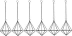 Air Plants Hanging Holders Indoor Small Metal Airplants Rack Hanger Himmeli Geometric Planter Tillandsia Air Ferns Display with Chains 6 Pcs Black Diamond Shape …