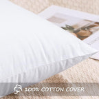 Artscope 14x36 Pillow Insert, Synthetic Down Lumbar Pillow Insert for Bed, Ultra Soft Decorative Long Throw Pillow Inserts for Living Room Couch Bed Sofa-White
