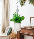 Josteve 5.2 Inch 2 Pcs Self Watering Hanging Planter Indoor Plant Pots Drainage Holes, Outdoor Small Hanging Planters Flower Pot Basket, Visible Water Level, Plant Hanger Home Decor, Gardening