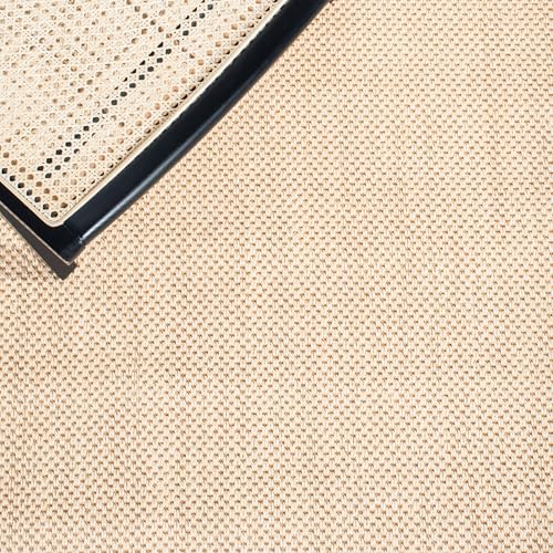 SAFAVIEH Area Rug 2x3 - Natural Fiber Collection - Maize & Black, Sisal, Woven Design with Border (NF141A) - color: Maize/Black, size: 2' x 3' (Rectangular)