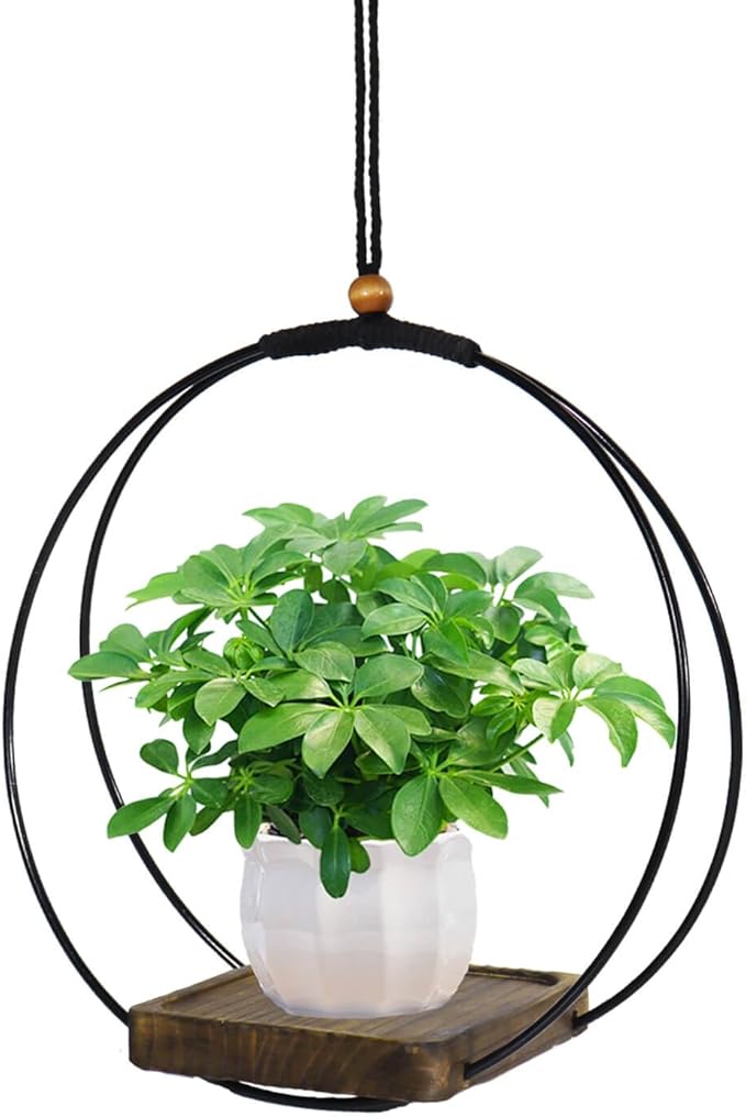 vensovo Hanging Planter for Indoor Plants - 1 pcs Plant Hanger Indoor with Metal Ring and Sturdy Wood Base, Boho Hanging Planter for Wall/Window/Room Decor