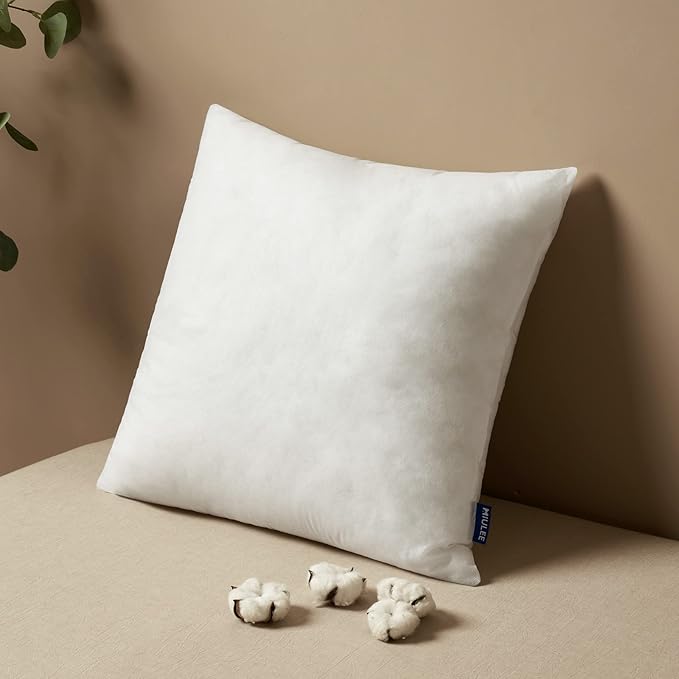 MIULEE Pillow Insert 20x20 Inch, Decorative Square Throw Pillow Inserts, Premium Fluffy Pillow Forms Sham Stuffer for Sofa Couch Living Room