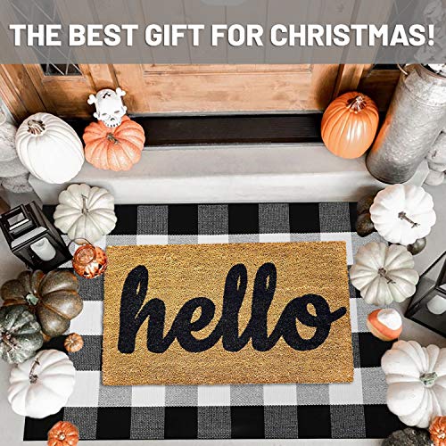 IOHOUZE Cotton Buffalo Plaid Check Rug Outdoor Doormat 27.5 x 43 Inches Washable Woven Outdoor Indoor Welcome Mats for Front Door/Farmhouse/Entryway/Home Entrance black and White Outdoor Rug - color: Black and White, size: 2'4" x 3'8" (Rectangular)