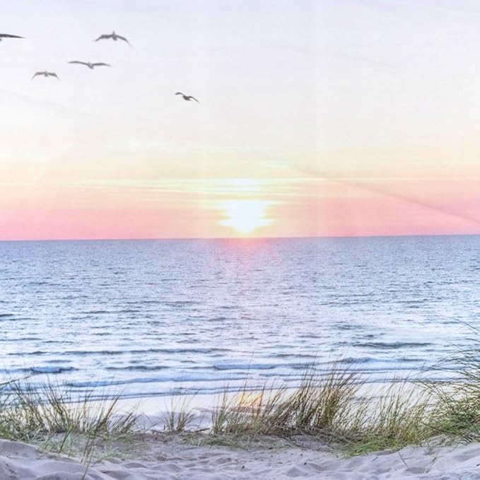 HVEST Ocean Beach Tapestry Wall Hanging, Sunset Seabird and Beach with Grass Wall Hanging Tapestry Natural Landscape Tapestry for Bedroom Living Room Dorm Decoration Wall Decor, 80x60 Inches
