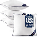 MIULEE 20x20 Pillow Inserts Set of 4 Throw Pillows Premium Down Alternative Pillow Inserts Square Decorative Pillow Stuffer for Sofa, Couch (20x20 inch, Set of 4)