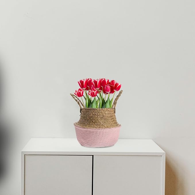 HANABASS Woven Seagrass Flower Basket with Handle 27cm Diameter Foldable Plant Pot Indoor Garden Decor Boho Style Patio Planter