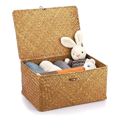 Hipiwe Wicker Shelf Baskets Bin with Lid, Handwoven Seagrass Basket Storage Bins Rectangular Household Basket Boxes for Shelf Wardrobe Home Organizer, Caramel X-Large - color: Caramel, size: X-Large