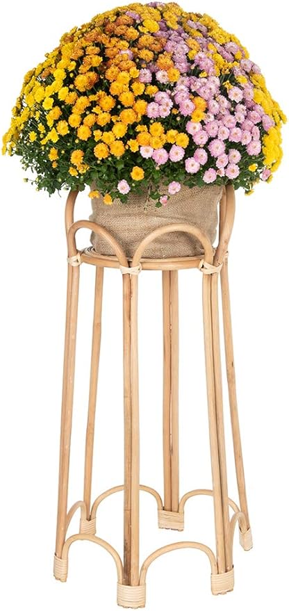 KOUBOO Rattan Loop Indoor Plant Stand, 26 inches, Natural Planter Brown