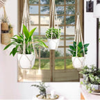 1 Pack Macrame Plant Hanger,Hanging Plant Holder, Boho Home Decor Hanging Basket with Wood Beads,Hanging Planters for Indoor Plants,Plant Hanger Indoor 35" Ivory (POTS NOT Included)