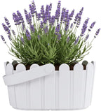 BUZZY Seeds Grow Your Own Lavender Basket – Indoor Flower Grow Kit with Growing Medium, Easy Instructions, Decorative White Basket – Ideal Gardening Gift for Beginners Plant Lovers DIY
