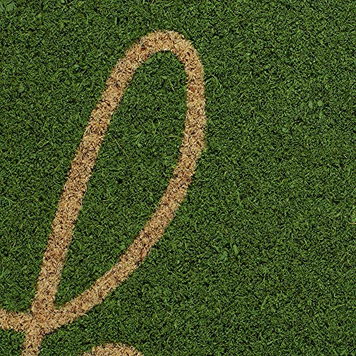 DII Hello Coir Fiber Doormat Non-Slip Durable Outdoor/Indoor, Pet Friendly, 18x30, Green Apple - color: Green Apple
