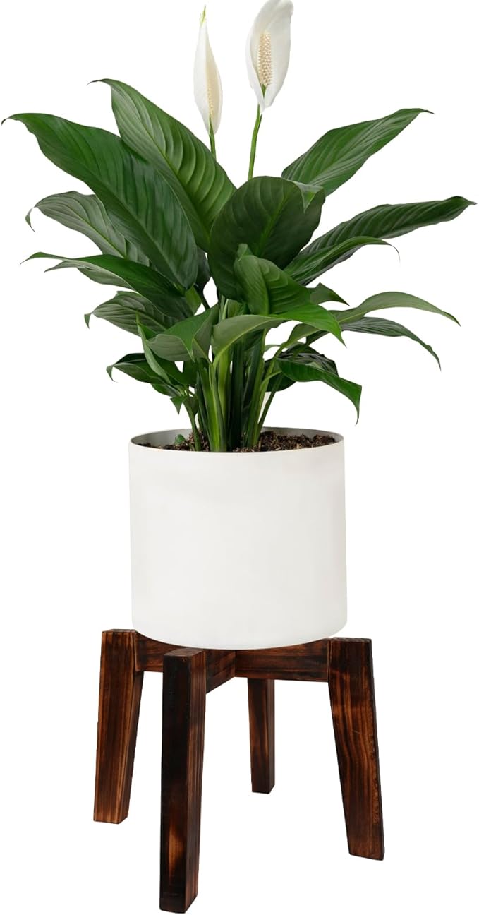 Plant Stand Indoor, Tall Stool Plants Holder for 5-15 Inch Pot, Bamboo Flower Pot Stand for Indoor Plants, Small Single Floor Plant Stand, Walnut