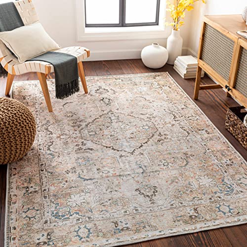 Hauteloom Standon Machine Washable Runner Rug - Medallion Floral Distressed Border - Traditional Oriental Transitional Oushak Vintage - Grass Green, Terracotta, Charcoal, Beige, Cream - 2'7" x 7'3" - color: Grass Green, Terracotta, Charcoal / Standon, siz