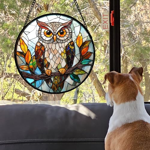 DASTOLL Stained Glass Window Hanging, Owl Colorful Leaves Birds Sun Catchers Diamond Glass Panel Hangings Suncatcher Decor for Birthday for Women, Men, Wife, Aunt, and Mom 14.9x14.9 in - color: Brown, size: 14.9x14.9 IN