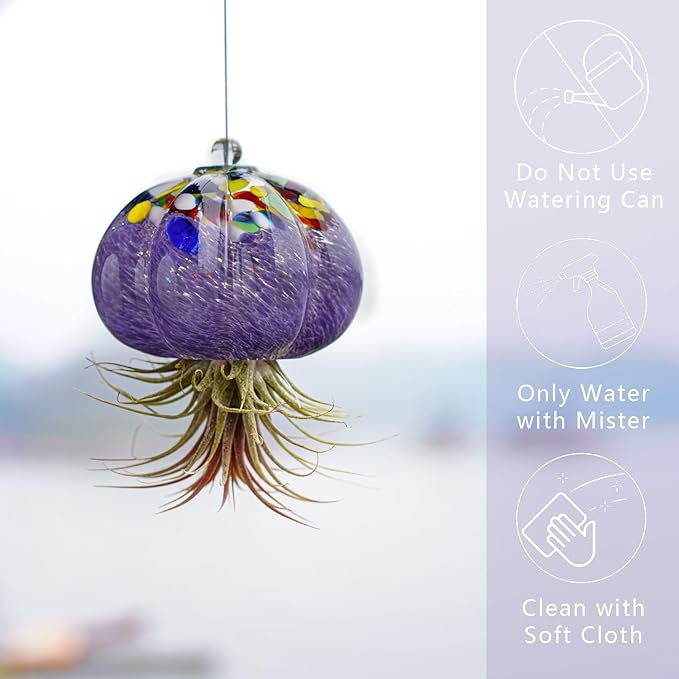 H&D HYALINE & DORA Hanging Hand Blown Art Glass Jellyfish Air Planter Terrarium Decor for Garden Porch Windowsill (No Plants)