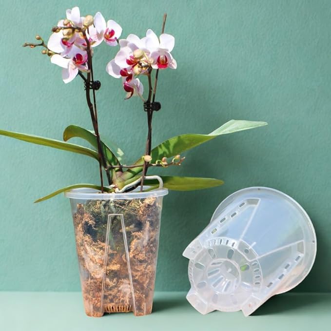 Clear Plastic Orchid Pot – 4" or 5" Diameter Air Column Flower Planter for Phalaenopsis, Breathable Root-Control with Drainage Holes (Random Size Surprise (10-Pack))