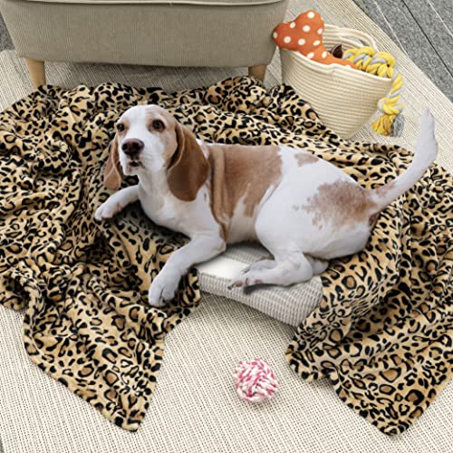 PAVILIA Cheetah Fleece Throw Blanket | Cheetah Leopard Animal Print Flannel Blanket | Soft Velvet Lightweight Microfiber Blanket for Couch Sofa | 50x60 Inches - color: Cheetah, size: 50 x 60 Inches - Throw