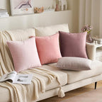MIULEE Dark Pink Velvet Throw Pillow Covers 18x18 Soft Decorative Solid Square Cushion Cases Pack of 2 Modern Luxury Home Decor for Couch, Sofa, Bedroom