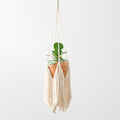 Modern Minimalist Bohemian Style Hanging Planters Plant Net Pocket Hand Woven Hanging Basket Holder Tapestry Flower Basket with Exquisite Tassel Indoor Balcony Decoration (Tassel)
