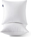 MIULEE 22 x 22 Pillow Inserts (Set of 2) -Decorative Throw Pillows for Sofa Couch with 100% Cotton Covers