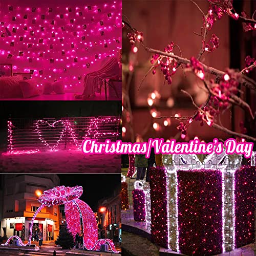 Hopolon Purple Halloween Mini String Lights,2PACk 50Count Incandescent Christmas Lights Green Wire,13FT Connectable Tree Lights for Indoor Outdoor Halloween,Valentines,Patio,Party,Home Decor,Purple - color: Purple,Green Wire, size: 2PACK, 50 count