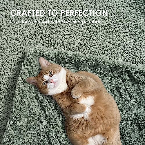 EverGrace Jacquard Boho Sherpa Fleece Throw Blanket for Couch, Super Soft Cozy Fuzzy Plush Blankets for Winter, Reversible Thick Warm Blanket for Bed, Sofa, Living Room, Sage Green, 50" x 60" - color: Sage Green, size: 50x60 Inches
