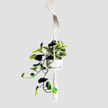 Modern Minimalist Bohemian Style Hanging Planters Plant Net Pocket Hand Woven Hanging Basket Holder Tapestry Flower Basket with Exquisite Tassel Indoor Balcony Decoration (Rotating)