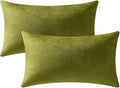 Lumbar Pillow Covers 12x20 Chartreuse: Pack of 2 Cozy Soft Velvet Rectangular Modern Luxury Decorative Throw Pillow Cases for Sofa Couch Living Room Bed Home Decor