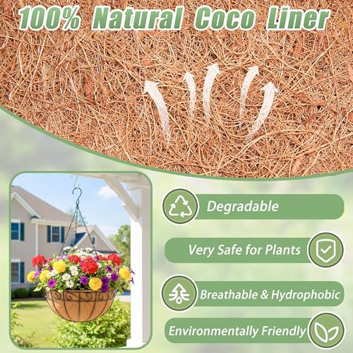 2 Pack 12 Inch Hanging Baskets for Plants Outdoor Metal Hanging Planters Round Hanging Flower Pots with Coco Coir Liner Plant Holder for Outdoor Patio Garden Balcony Decor - Flower Border - color: Flower Border