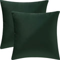 2 Pack 18x18 Pillow Cover Velvet Pillow Covers, Square Throw Pillow Covers for Living Room Decorations Throw Pillow Case, Throw Pillow Cover Cushion Cover for Sofa Bedroom Car, Dark Green Velvet