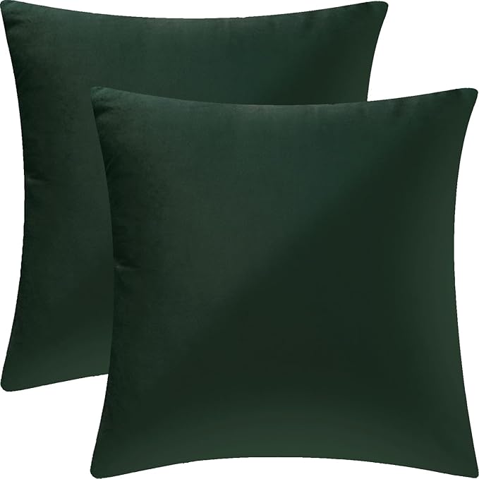 2 Pack 18x18 Pillow Cover Velvet Pillow Covers, Square Throw Pillow Covers for Living Room Decorations Throw Pillow Case, Throw Pillow Cover Cushion Cover for Sofa Bedroom Car, Dark Green Velvet