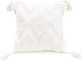 PLWORLD Boho White Throw Pillow Cover 18x18 Inch with Tassels, Moroccan Tufted Decorative Cream Chenille Fabric Accent Textured Cushion Case for Bed Couch, 1 PC